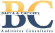 B&C Auditores Consultores